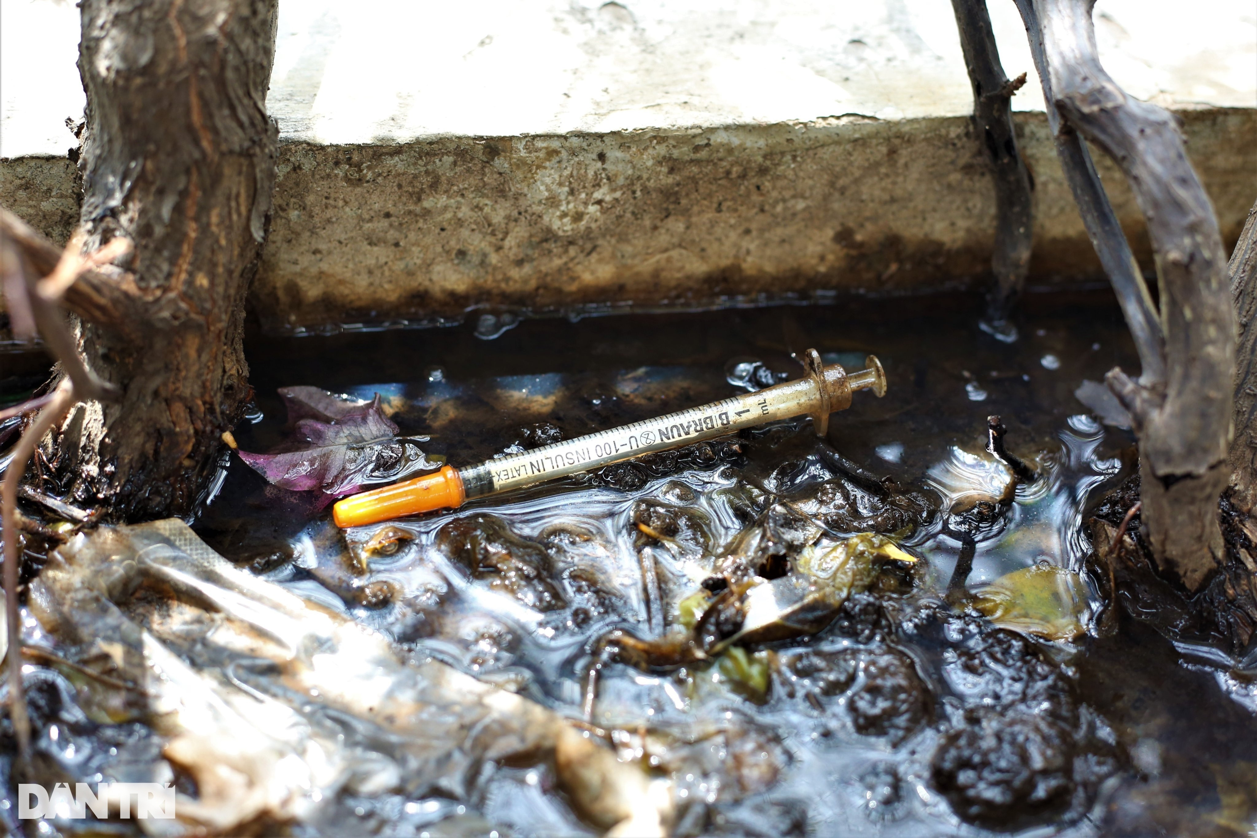 Người dân TPHCM bất an khi đi qua cầu bộ hành đầy kim tiêm - 2