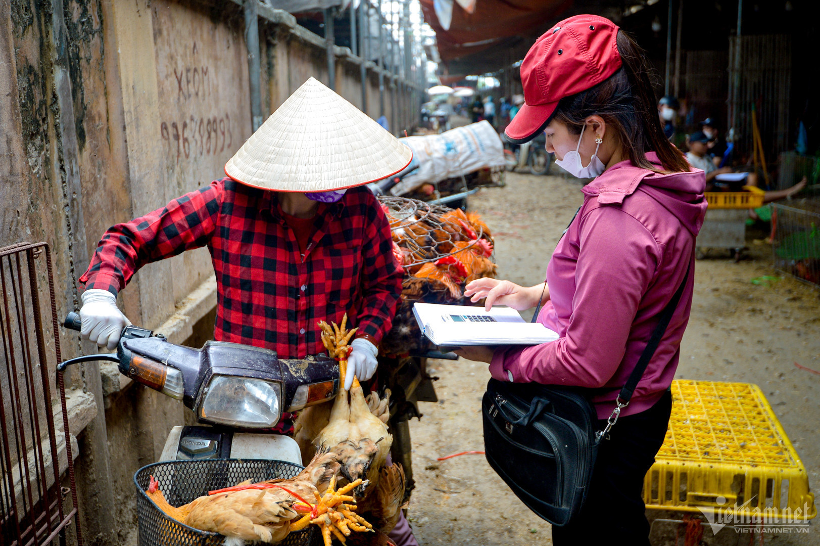 Livestock industry's small farms in distress, big farms deep in debt