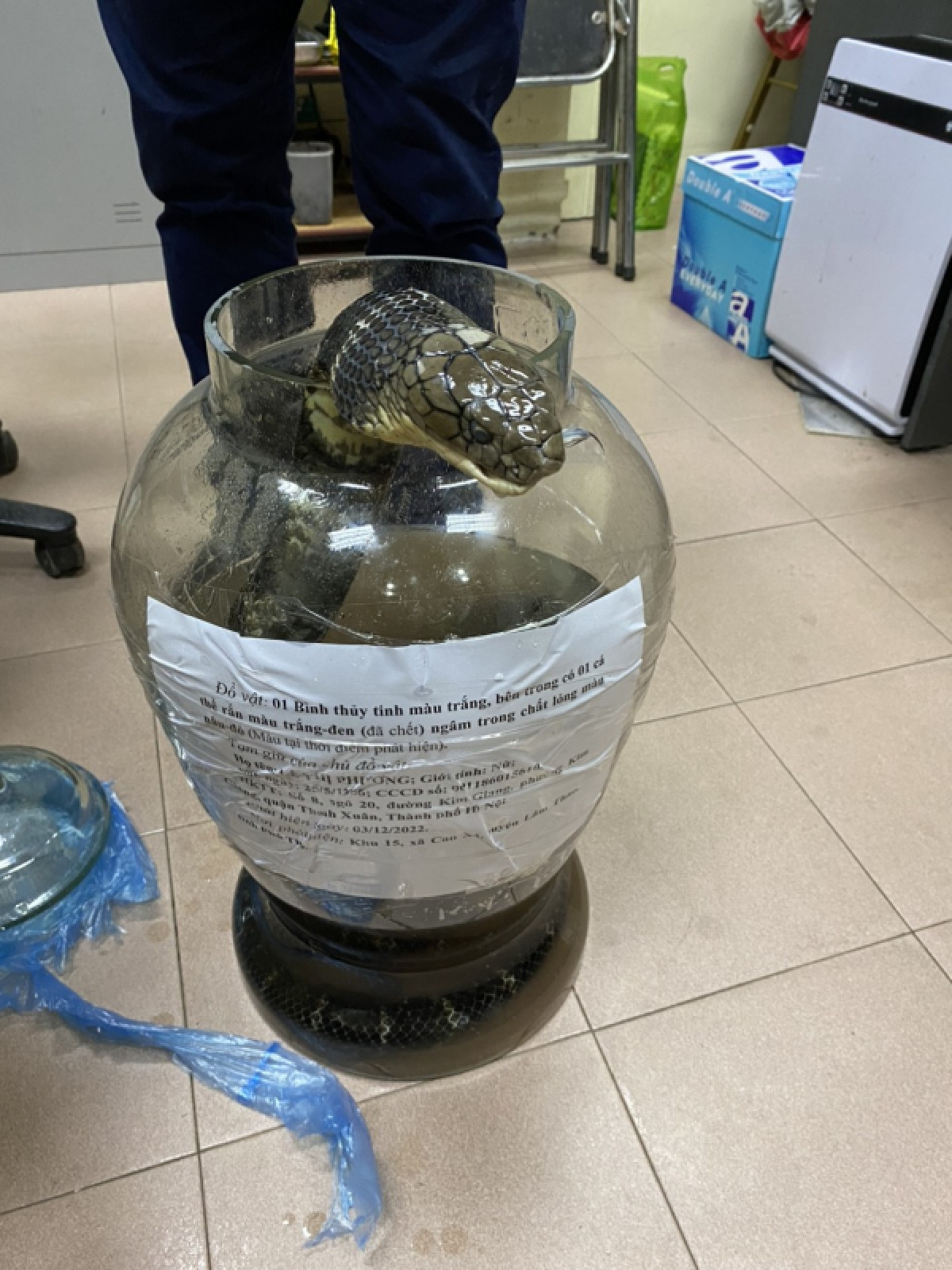 nghe loi thay boi mua ran ho chua ve tran chong , nguoi vo bi xu phat 500 trieu dong hinh anh 1