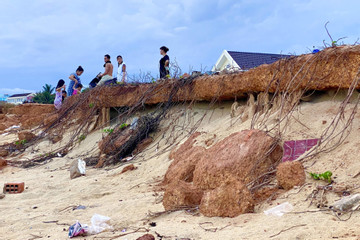 Sóng 'ngoạm' nát bờ biển, người dân Bình Định lo mất đất