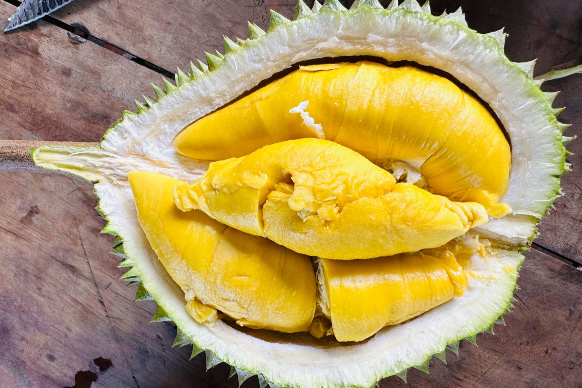 Sầu riêng Musang King trồng ở miền Tây, giá rẻ chưa từng có