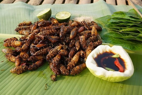 Sốc nặng sau khi ăn món thường có vào mùa hè