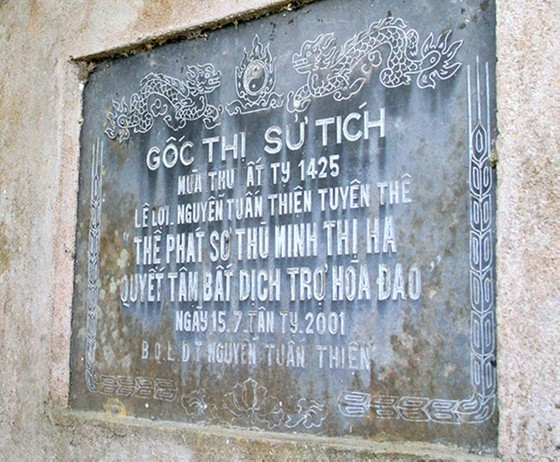 700-year-old gold apple tree recognized as heritage tree ảnh 7