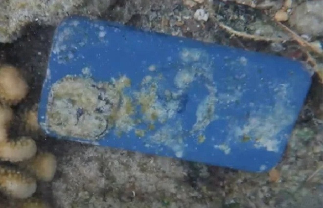 Điện thoại rơi xuống biển 33 ngày vẫn hoạt động bình thường, chủ nhân bị 'sốc'