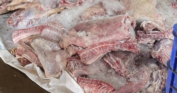 Phát hiện điểm trữ hơn 1,7 tấn thịt lợn bốc mùi hôi thối