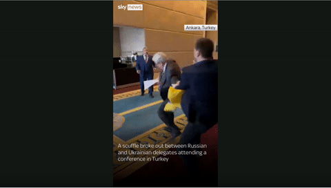 Video đại biểu Nga và Ukraine xô xát tại hội nghị ở Thổ Nhĩ Kỳ