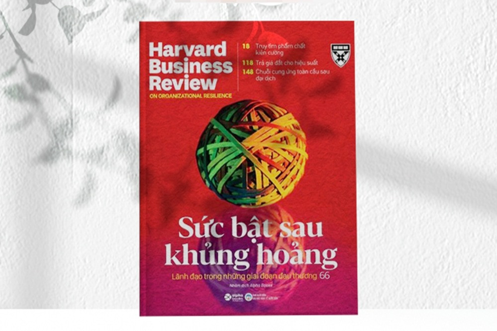 Sức bật sau khủng hoảng