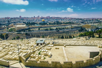 Bài học cuộc đời: Israel và trí tuệ Do Thái