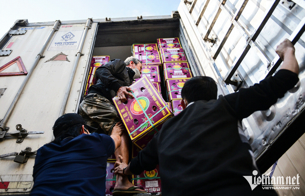 Giả chứng nhận xuất khẩu nông sản sang Trung Quốc, SPS Việt Nam cảnh báo khẩn