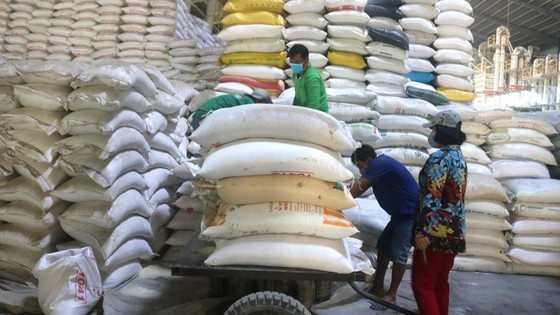 Mekong Delta province’s rice output tops 10 million rice tons ảnh 7