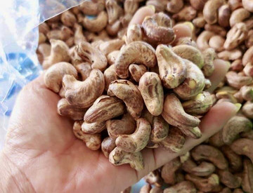 Việt Nam chi hơn 1 tỷ USD trong 4 tháng để nhập khẩu một loại hạt