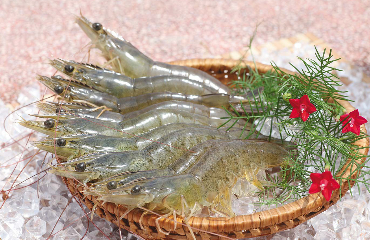 Shrimp, fowl and chicken-egg tycoons incur big losses