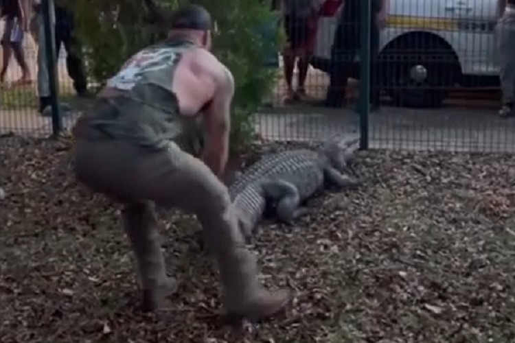 Video võ sĩ vật nhau với cá sấu bên ngoài trường tiểu học ở Mỹ