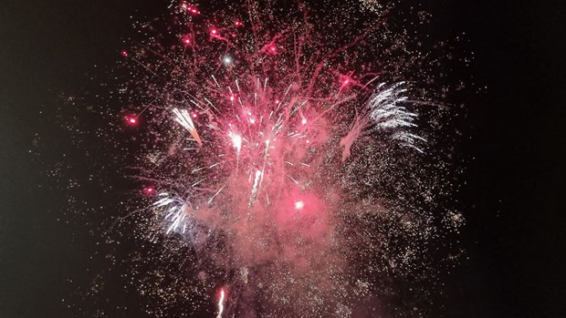 Ninh Thuan to set off fireworks to welcome grape – wine festival hinh anh 1