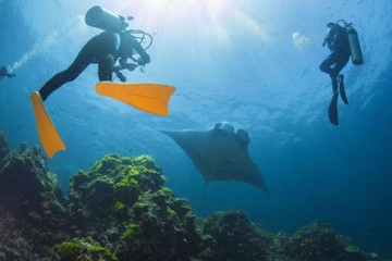 Traveldudes suggests best places for scuba diving in Vietnam