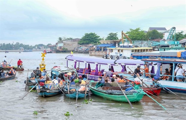 Can Tho seeks to develop agricultural tourism hinh anh 1