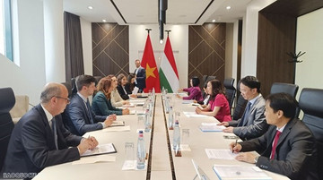 Deputy Foreign Minister hails Hungary for considering Vietnam priority partner