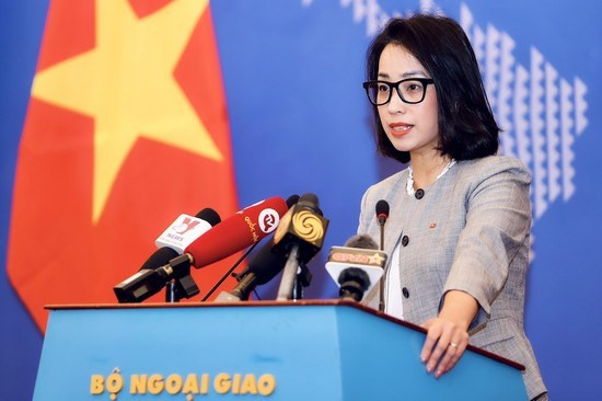 Vietnam’s sovereignty must be respected: Foreign Ministry’s spokesperson hinh anh 1