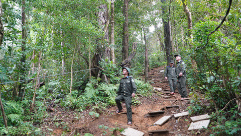 VN eyes investment in clean energy to develop carbon market