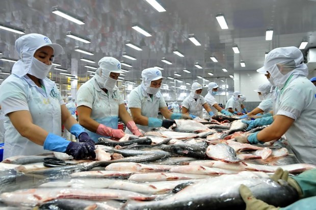 Vn Fisheries Businesses Face Tough Year In 2023 1008 