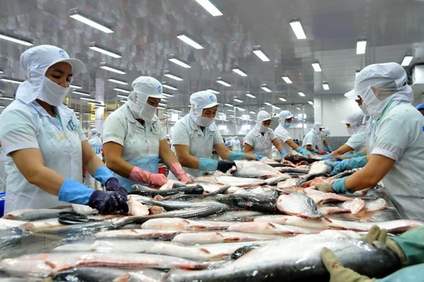 Fisheries businesses face tough year in 2023 hinh anh 1