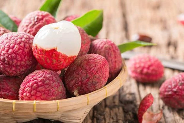 “Golden time” for Vietnam’s lychee exports coming: experts hinh anh 1