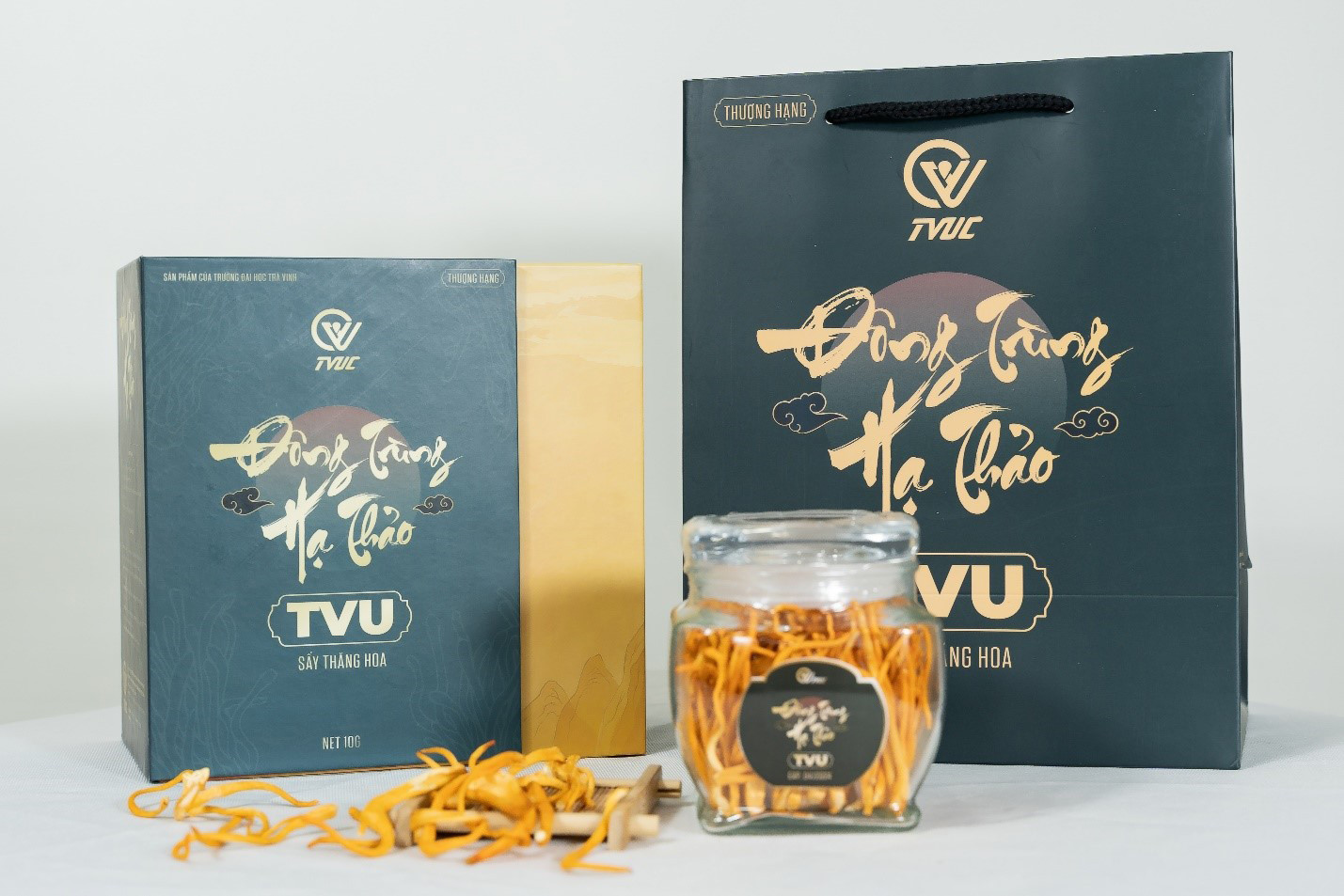 Đông trùng hạ thảo TVU