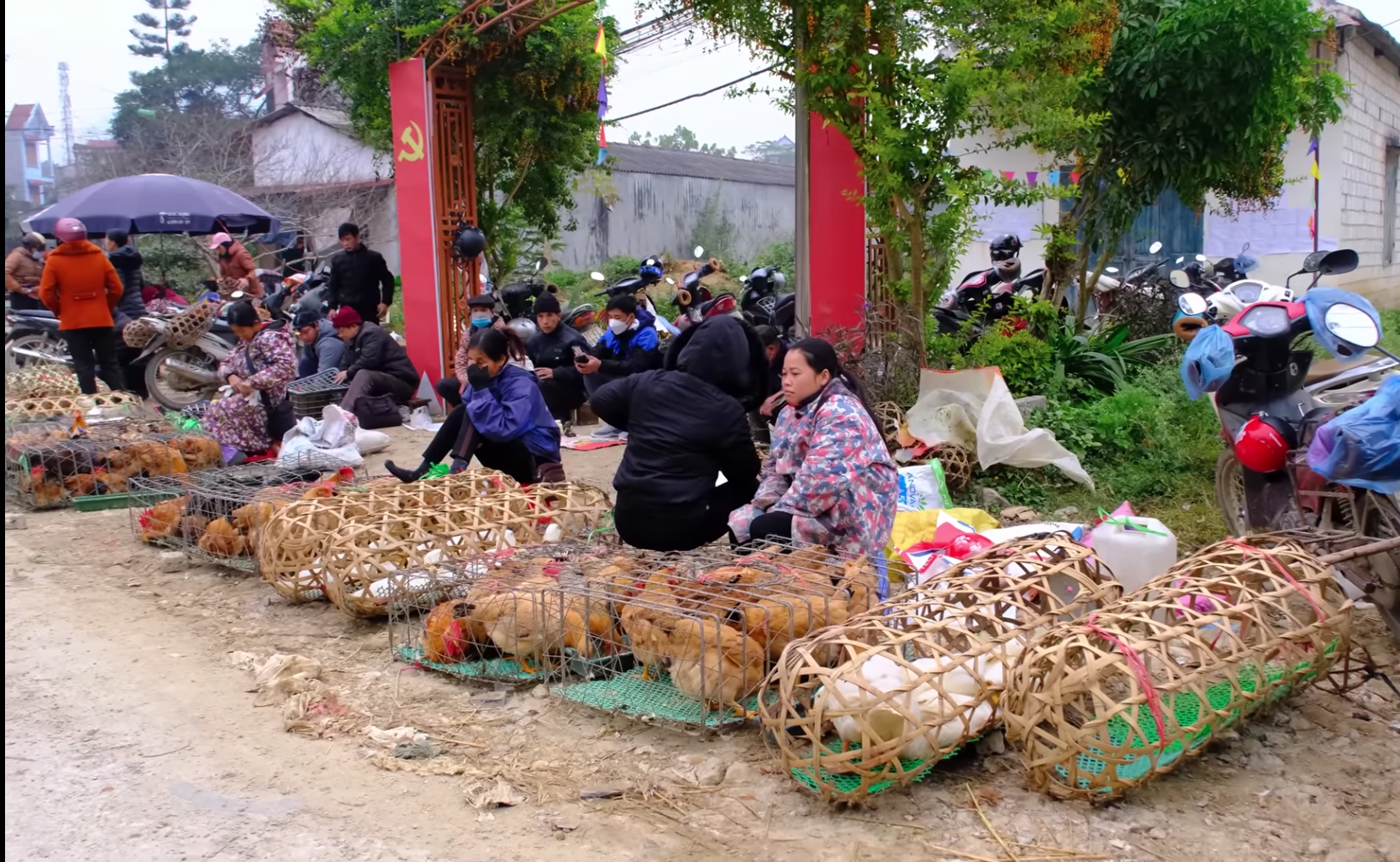 Xử lý nghiêm vận chuyển trái phép gia cầm, sản phẩm gia cầm qua biên giới