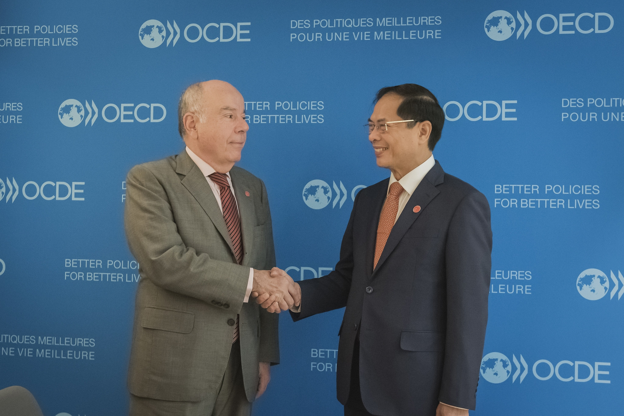 Bộ trưởng Bùi Thanh Sơn gặp bên lề Hội nghị Bộ trưởng Hội đồng OECD