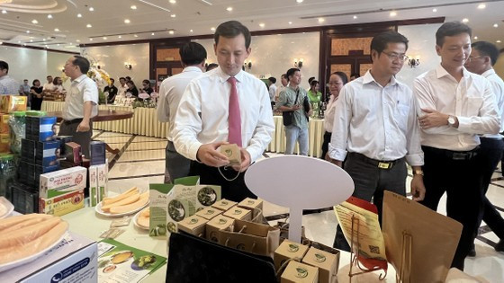 Domestic businesses striving to overcome technical barriers in exports ảnh 1