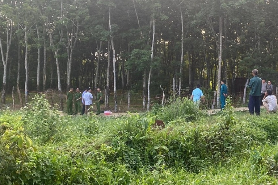 Phát hiện thi thể bé trai sơ sinh không nguyên vẹn trong lô cao su