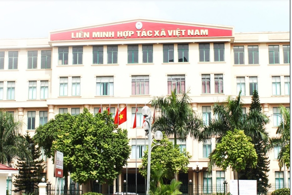 Đề nghị Ban Bí thư xem xét kỷ luật Đảng đoàn Liên minh Hợp tác xã Việt Nam