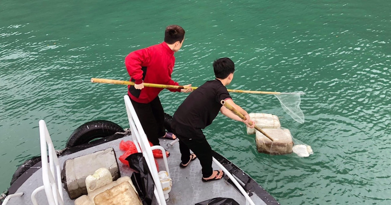 Garbage adrift on Ha Long Bay, tourists express disappointment