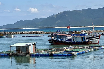 Lồng bè nuôi thủy sản tự phát có nguy cơ chặn lối tàu thuyền ở Bình Định