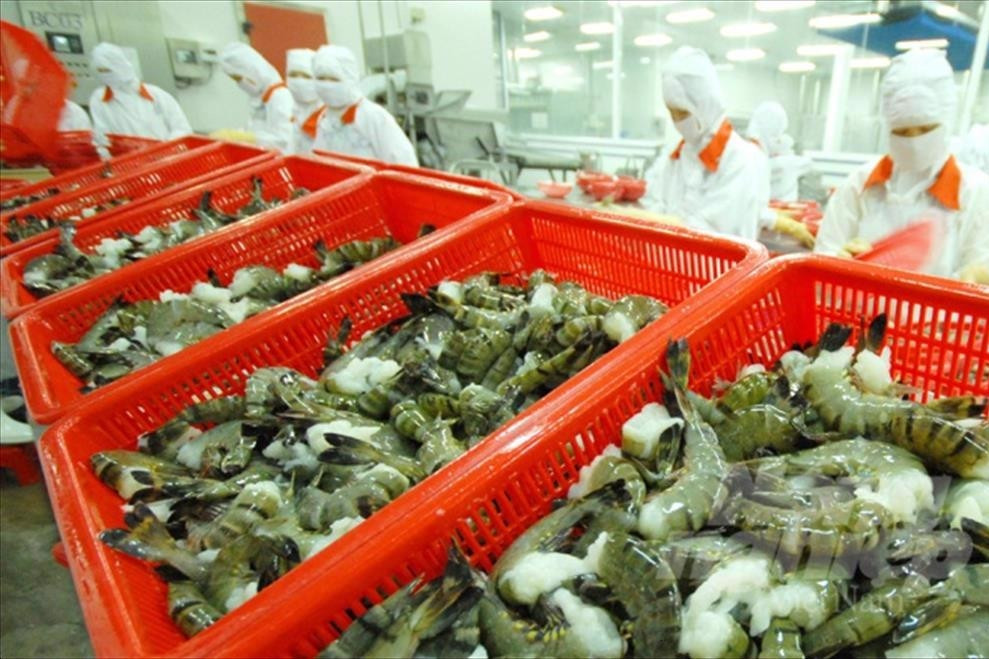 Shrimp companies warn that greed could kill shrimp industry