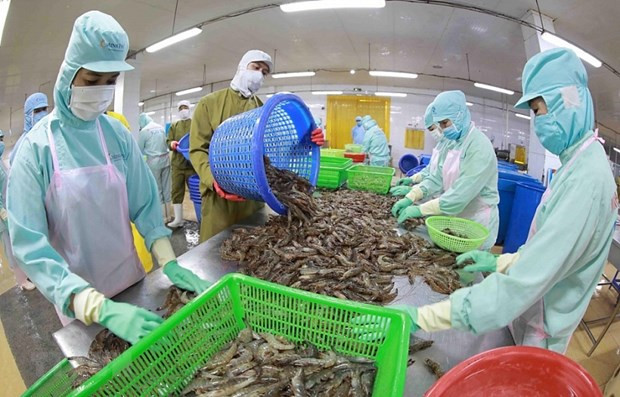 Aquatic exports continue to face difficulties in Q3: VASEP hinh anh 1