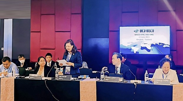 Vietnamese stock market becomes reliable destination for investors worldwide: official hinh anh 1