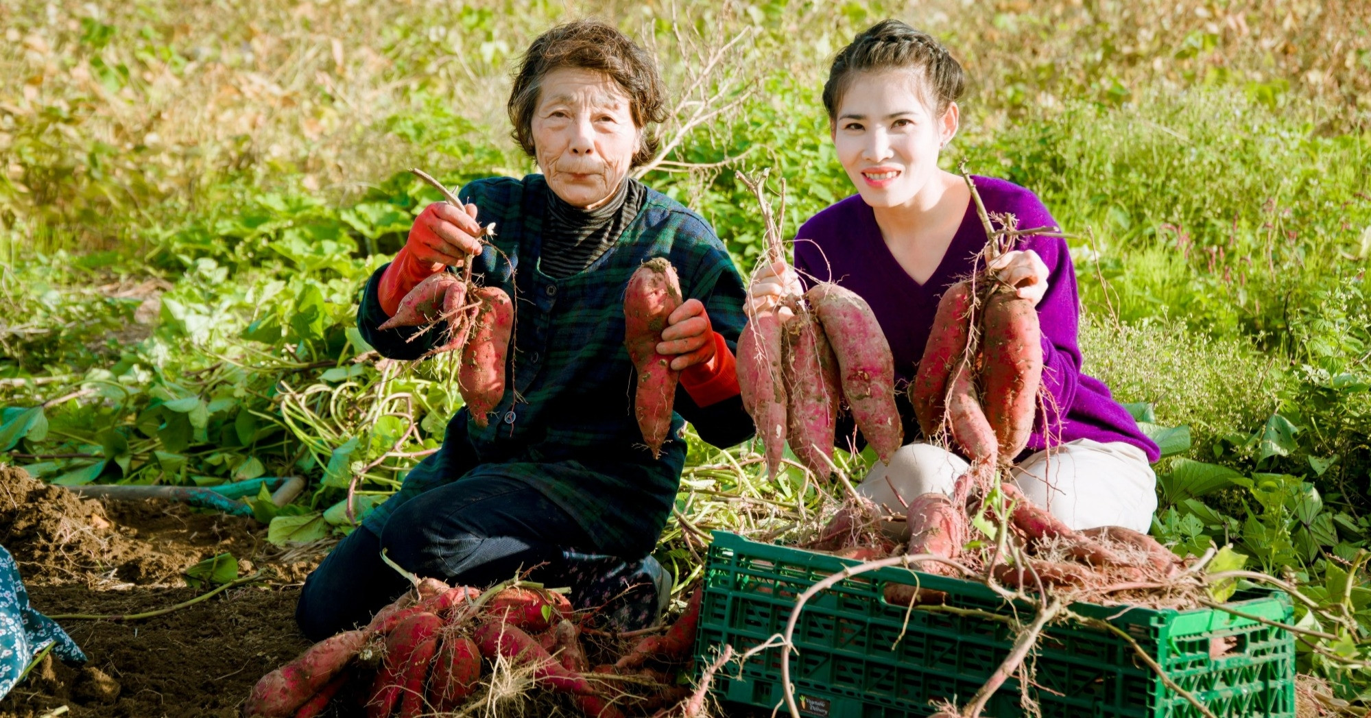 Cô gái Việt bỏ chuỗi cửa hàng sang Nhật làm nông, chinh phục mẹ chồng khó  tính