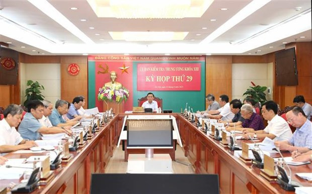 Commission decides on disciplinary measures against some Party organisations, members hinh anh 1