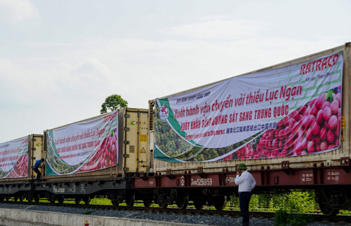 Lần đầu tiên xuất khẩu vải thiều sang Trung Quốc bằng đường sắt