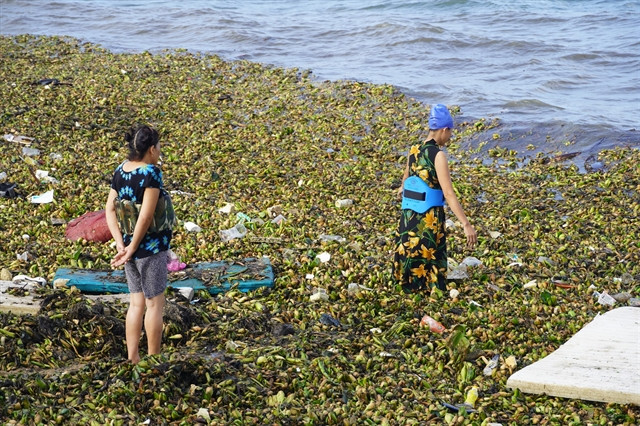 Waste disturbs locals, tourists in southern province’s beach