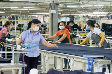 Bình Định tạo việc làm mới cho hơn 17.000 lao động