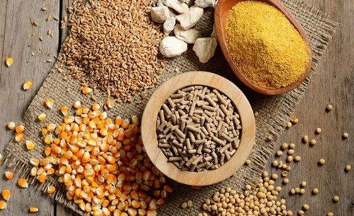 Over US$1.4 bln spent on import of animal feed raw materials