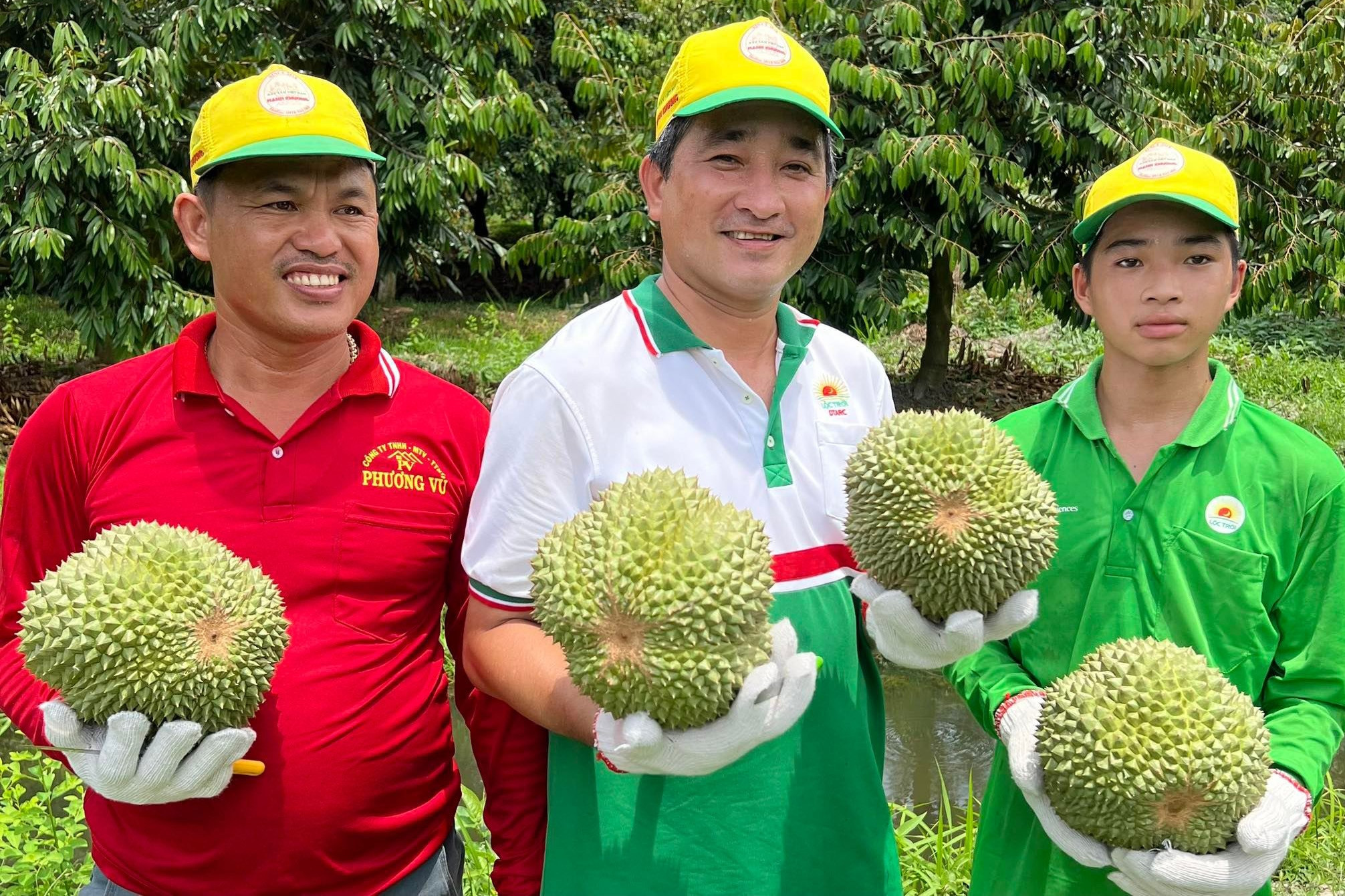 Không phải Musang King, đây mới là loại sầu riêng đắt nhất ở miền Tây