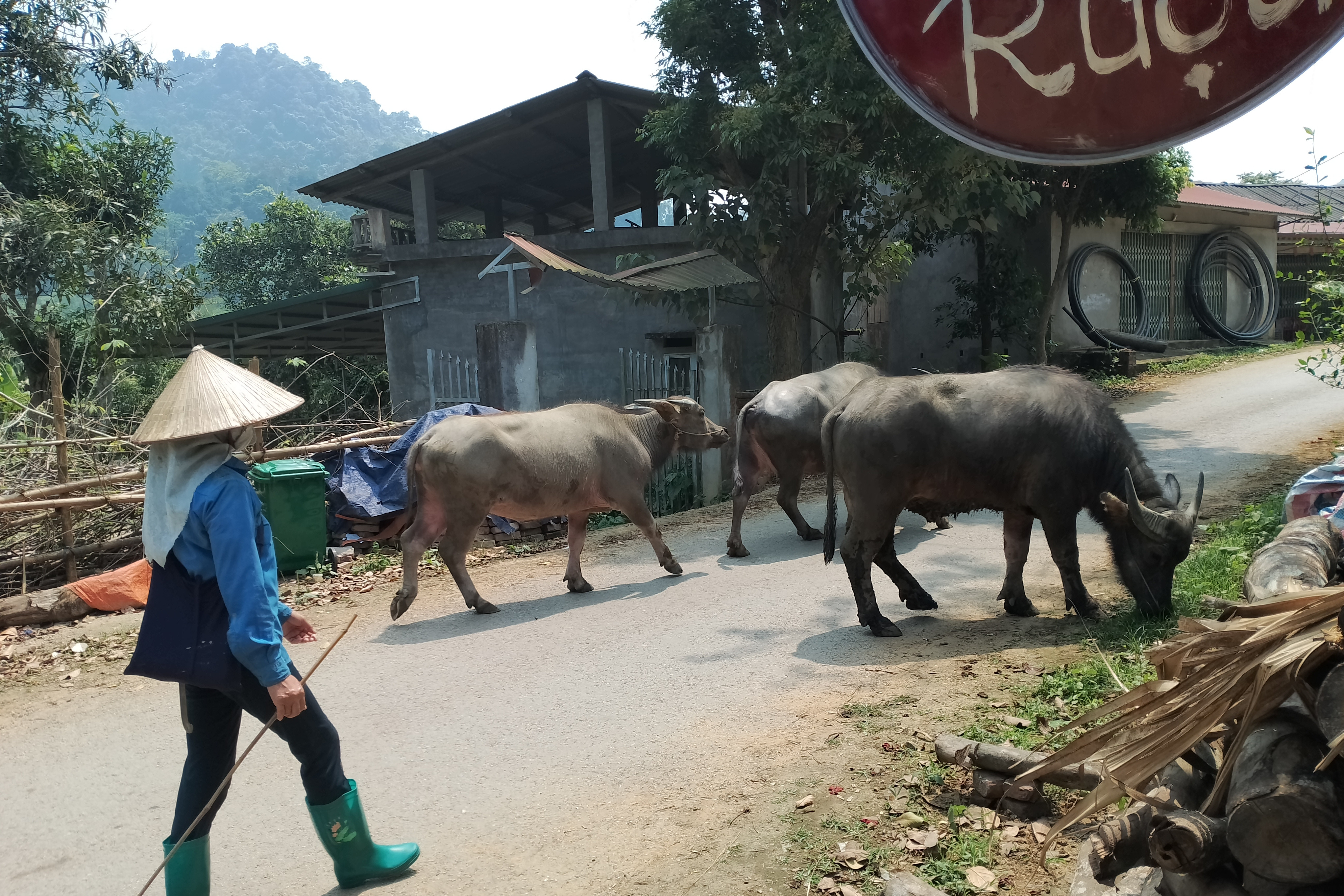 Bắc Kạn thực hiện có hiệu quả các chính sách dân tộc