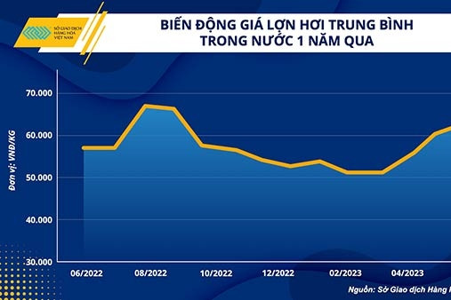 Giá heo hơi tăng mạnh, các doanh nghiệp chăn nuôi dần có lãi