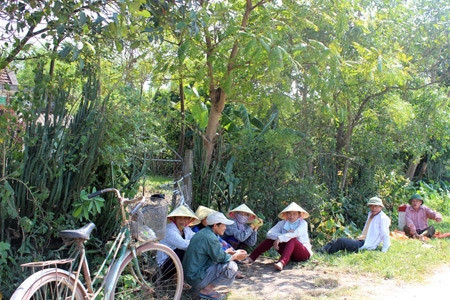 Gió Lào bỏng rát mà nặng trĩu nhớ thương