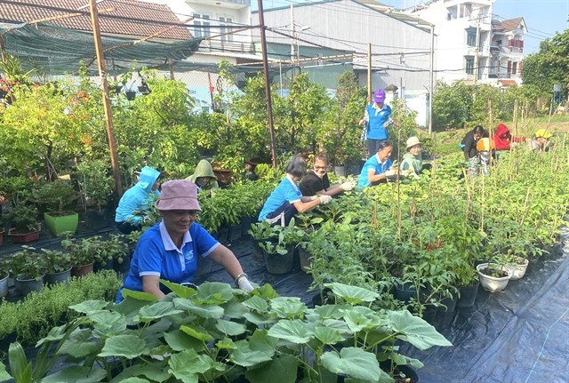 HCM City turns 243 garbage dumps into parks, veggie gardens