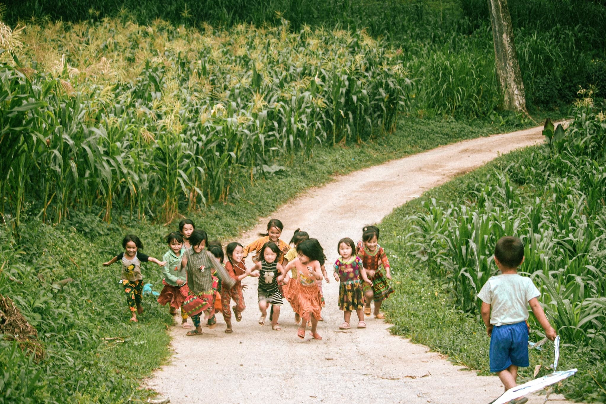 Chuyên gia UNESCO nói gì về việc thu phí ở cao nguyên đá Đồng Văn?