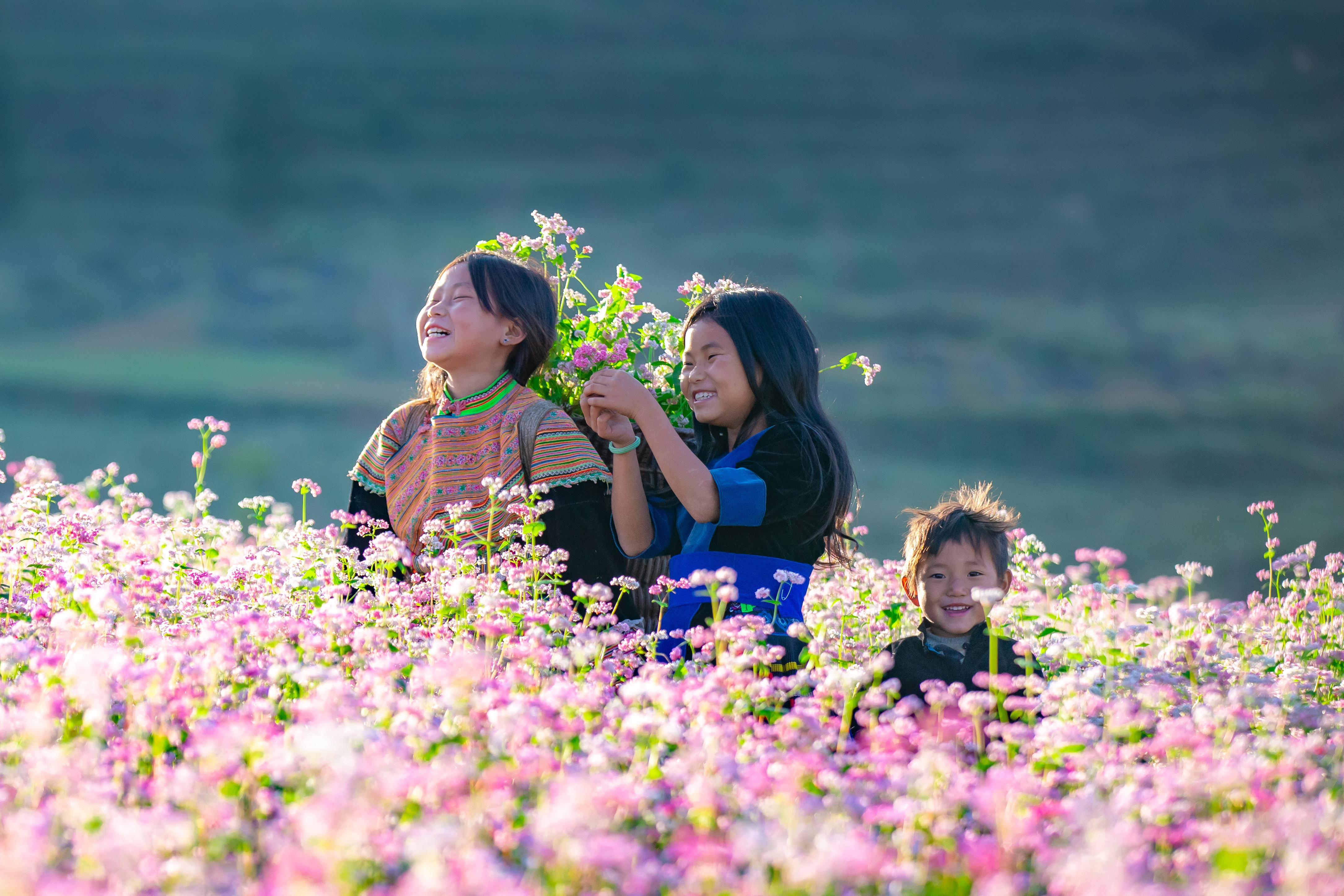 Tại sao Hà Giang dự kiến thu phí cao nguyên đá Đồng Văn?
